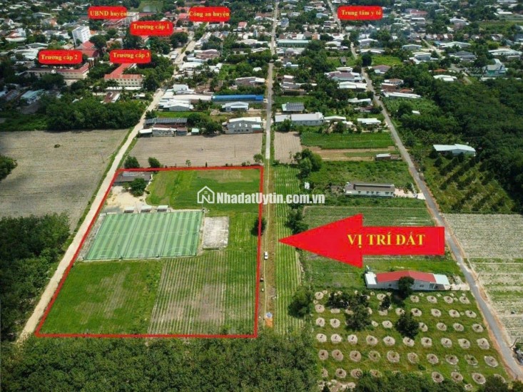Bán gấp 15.000m2 đất ở thị trấn Tân Châu Tây Ninh có sân banh, pickerball